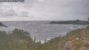 ./images/calvert/foggy-cove/20260506/foggy-cove20260506_173501M.jpg