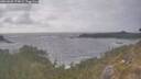 ./images/calvert/foggy-cove/20260506/foggy-cove20260506_174001M.jpg