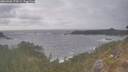 ./images/calvert/foggy-cove/20260506/foggy-cove20260506_174501M.jpg