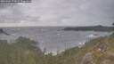 ./images/calvert/foggy-cove/20260506/foggy-cove20260506_175001M.jpg