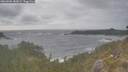 ./images/calvert/foggy-cove/20260506/foggy-cove20260506_180002M.jpg