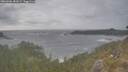 ./images/calvert/foggy-cove/20260506/foggy-cove20260506_181002M.jpg