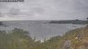 ./images/calvert/foggy-cove/20260506/foggy-cove20260506_181501M.jpg