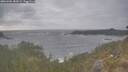 ./images/calvert/foggy-cove/20260506/foggy-cove20260506_182001M.jpg