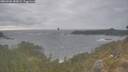 ./images/calvert/foggy-cove/20260506/foggy-cove20260506_183001M.jpg