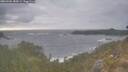 ./images/calvert/foggy-cove/20260506/foggy-cove20260506_184501M.jpg