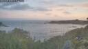./images/calvert/foggy-cove/20260507/foggy-cove20260507_055501M.jpg