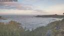 ./images/calvert/foggy-cove/20260507/foggy-cove20260507_062001M.jpg