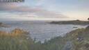 ./images/calvert/foggy-cove/20260507/foggy-cove20260507_063002M.jpg