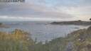 ./images/calvert/foggy-cove/20260507/foggy-cove20260507_064501M.jpg