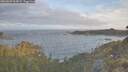 ./images/calvert/foggy-cove/20260507/foggy-cove20260507_065001M.jpg