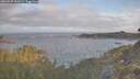 ./images/calvert/foggy-cove/20260507/foggy-cove20260507_065501M.jpg