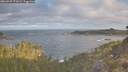 ./images/calvert/foggy-cove/20260507/foggy-cove20260507_071001M.jpg