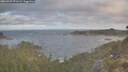 ./images/calvert/foggy-cove/20260507/foggy-cove20260507_071501M.jpg