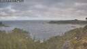 ./images/calvert/foggy-cove/20260507/foggy-cove20260507_072001M.jpg
