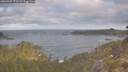 ./images/calvert/foggy-cove/20260507/foggy-cove20260507_072501M.jpg
