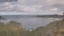 ./images/calvert/foggy-cove/20260507/foggy-cove20260507_073001M.jpg