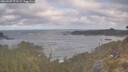 ./images/calvert/foggy-cove/20260507/foggy-cove20260507_073501M.jpg