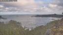 ./images/calvert/foggy-cove/20260507/foggy-cove20260507_074001M.jpg