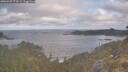 ./images/calvert/foggy-cove/20260507/foggy-cove20260507_074501M.jpg