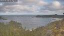 ./images/calvert/foggy-cove/20260507/foggy-cove20260507_075001M.jpg
