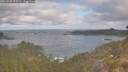 ./images/calvert/foggy-cove/20260507/foggy-cove20260507_075501M.jpg