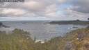 ./images/calvert/foggy-cove/20260507/foggy-cove20260507_080001M.jpg