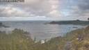 ./images/calvert/foggy-cove/20260507/foggy-cove20260507_080501M.jpg