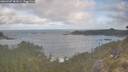 ./images/calvert/foggy-cove/20260507/foggy-cove20260507_081001M.jpg