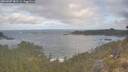 ./images/calvert/foggy-cove/20260507/foggy-cove20260507_081501M.jpg