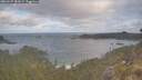 ./images/calvert/foggy-cove/20260507/foggy-cove20260507_082001M.jpg