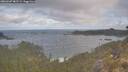 ./images/calvert/foggy-cove/20260507/foggy-cove20260507_082502M.jpg