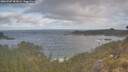 ./images/calvert/foggy-cove/20260507/foggy-cove20260507_083002M.jpg