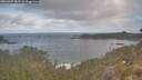 ./images/calvert/foggy-cove/20260507/foggy-cove20260507_083501M.jpg