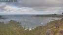 ./images/calvert/foggy-cove/20260507/foggy-cove20260507_084002M.jpg