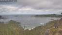 ./images/calvert/foggy-cove/20260507/foggy-cove20260507_085501M.jpg