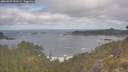 ./images/calvert/foggy-cove/20260507/foggy-cove20260507_090501M.jpg