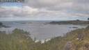 ./images/calvert/foggy-cove/20260507/foggy-cove20260507_091002M.jpg