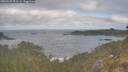 ./images/calvert/foggy-cove/20260507/foggy-cove20260507_091501M.jpg