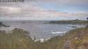 ./images/calvert/foggy-cove/20260507/foggy-cove20260507_092001M.jpg