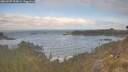 ./images/calvert/foggy-cove/20260507/foggy-cove20260507_094001M.jpg