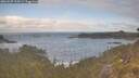 ./images/calvert/foggy-cove/20260507/foggy-cove20260507_094501M.jpg