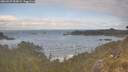 ./images/calvert/foggy-cove/20260507/foggy-cove20260507_095001M.jpg
