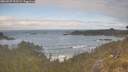 ./images/calvert/foggy-cove/20260507/foggy-cove20260507_095501M.jpg