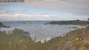 ./images/calvert/foggy-cove/20260507/foggy-cove20260507_100501M.jpg