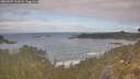 ./images/calvert/foggy-cove/20260507/foggy-cove20260507_101001M.jpg