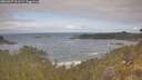 ./images/calvert/foggy-cove/20260507/foggy-cove20260507_101502M.jpg