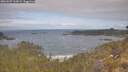 ./images/calvert/foggy-cove/20260507/foggy-cove20260507_102001M.jpg