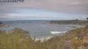 ./images/calvert/foggy-cove/20260507/foggy-cove20260507_102501M.jpg