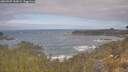 ./images/calvert/foggy-cove/20260507/foggy-cove20260507_103001M.jpg